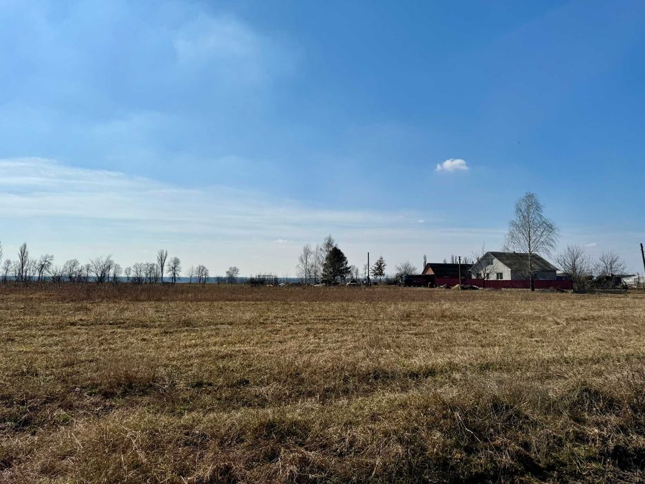 Продам земельну ділянку в селі Сосонка. Біля лісу. Під будівництво.