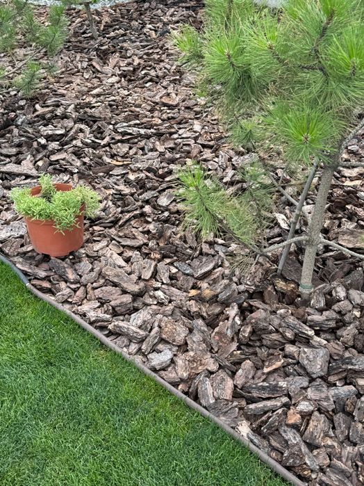 Торф,кора соснова,мульча,в мішках