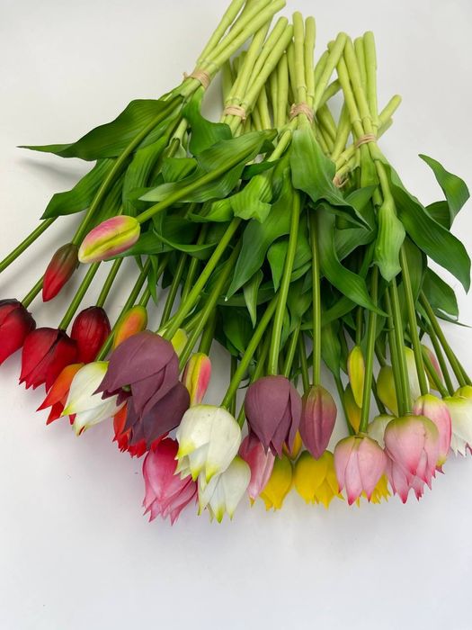 Латексні тюльпани