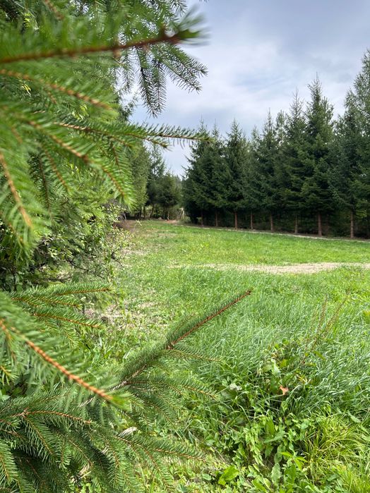Działka budowlana 12 arów – Uście Gorlickie, Beskid Niski