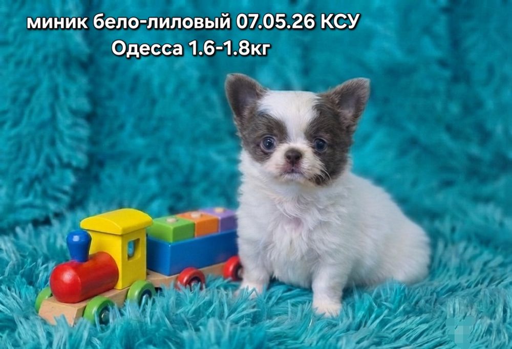 Фантастический миник КСУ