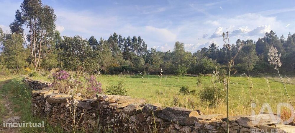 Quinta rural em Benquerenças