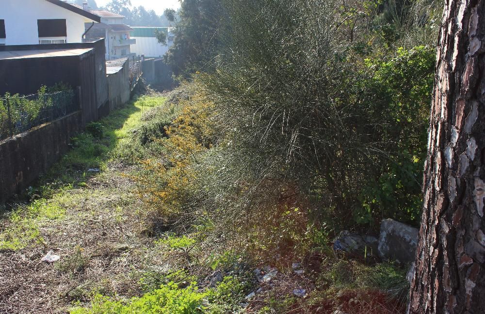 Terreno - Baguim do Monte - 1.713 m2