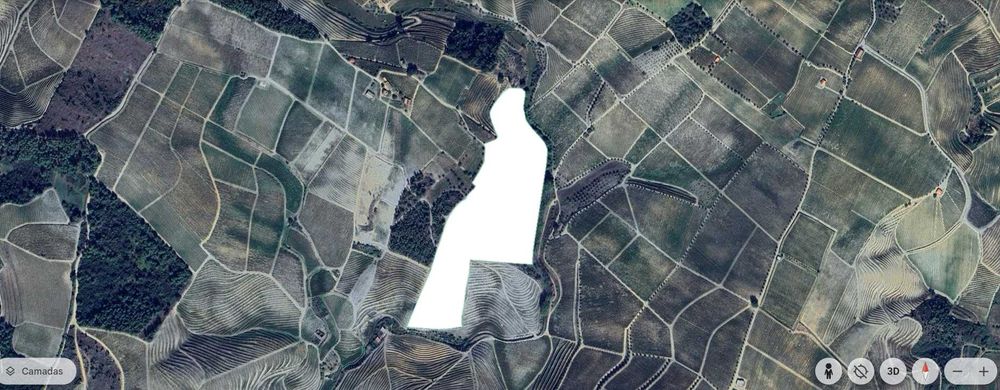 Terreno com vinha - Favaios / Douro