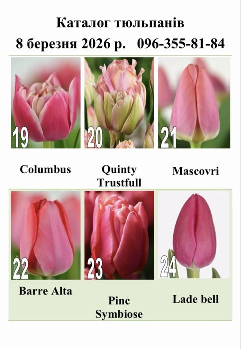 Тюльпани на 8.03 (мілкий гурт)