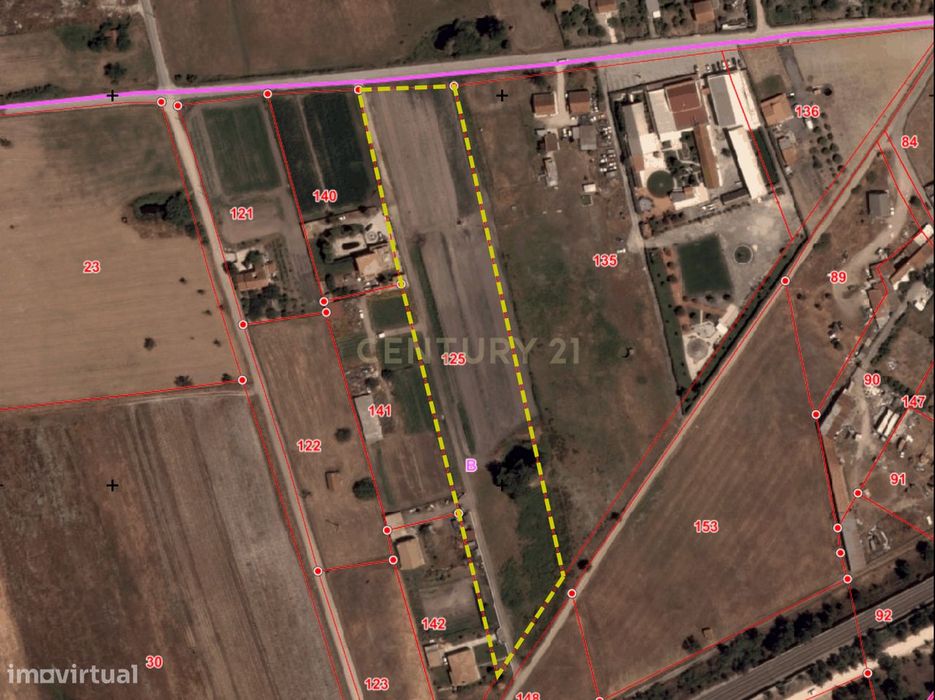 Lote de Terreno Rustico | 15.200m2 | Quinta do Anjo