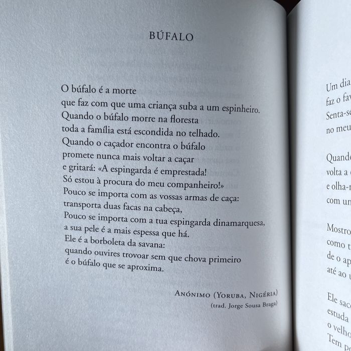 Jorge Sousa Braga - Animal Animal : Um Bestiário Poético