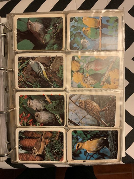 Coleçao de calendarios de bolso (cerca de 700)