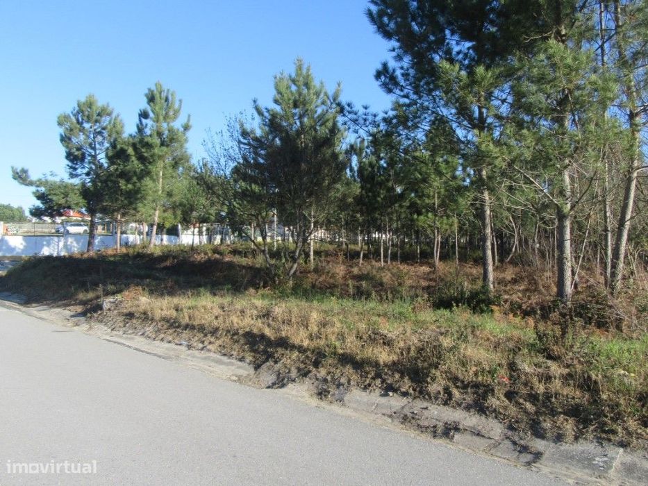 Terreno para construção na zona de Monte Real