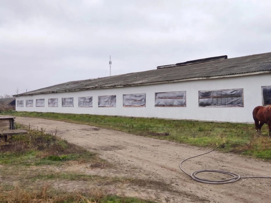 Продаж комплексу 30 000 м², Чернігівська обл.: ферма / склад / виробництво