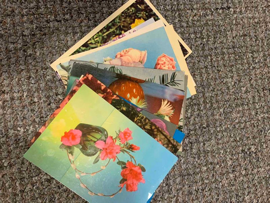 Открытки с фото цветов и другие, 50-80х гг. - новые (440 шт.)