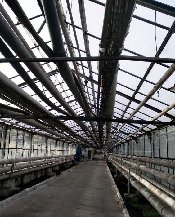 ЗНИЖЕНО ЦІНУ. Продаж тепличного комплексу