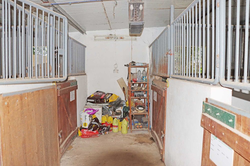 Aluguer Boxes para Cavalos