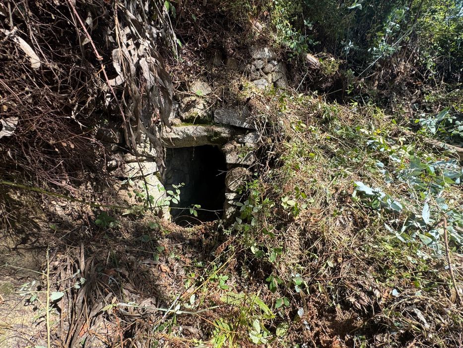 Ruin for reconstruction- Foia Monchique