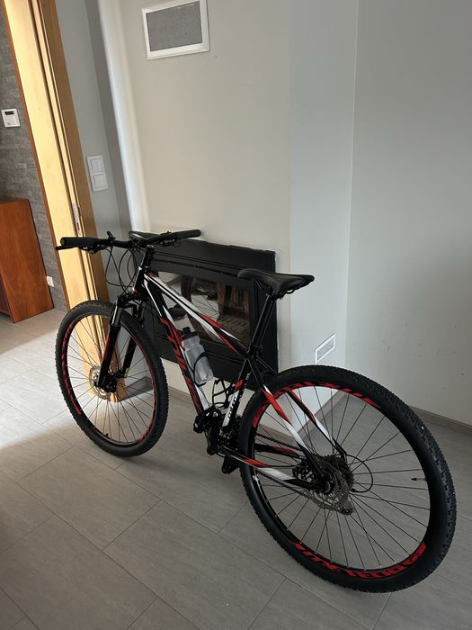 Coluer Pragma 29er