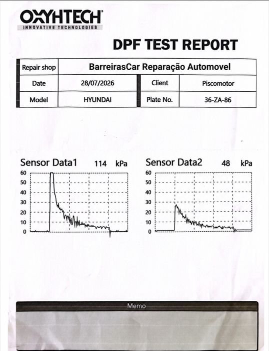 Particulate Filter Cleaning520002696234946563