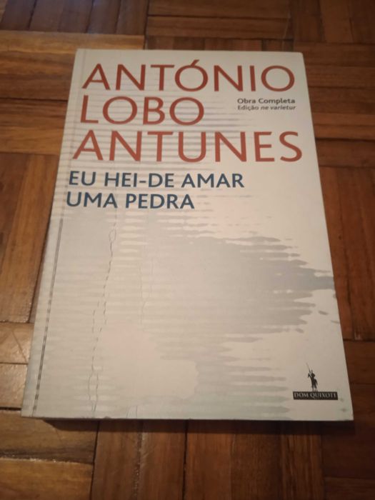 I Shall Love a Stone - António Lobo Antunes