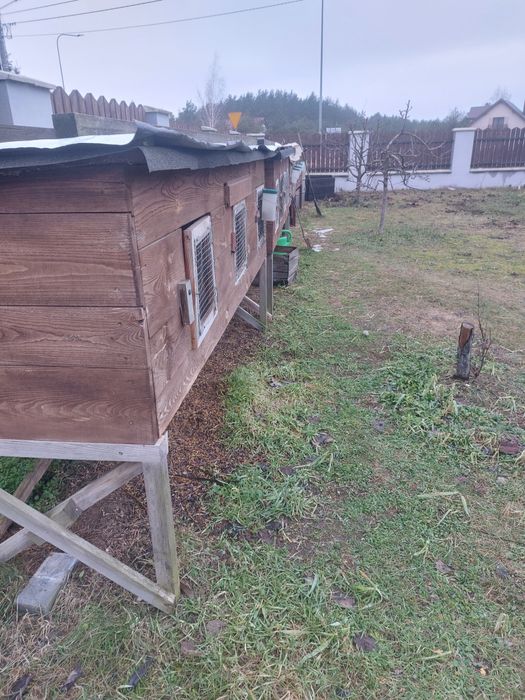 Klatki dla królików