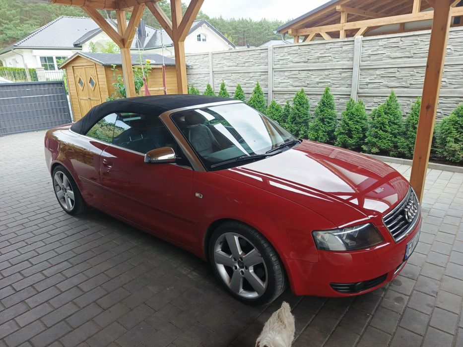 Audi bardzo ładna