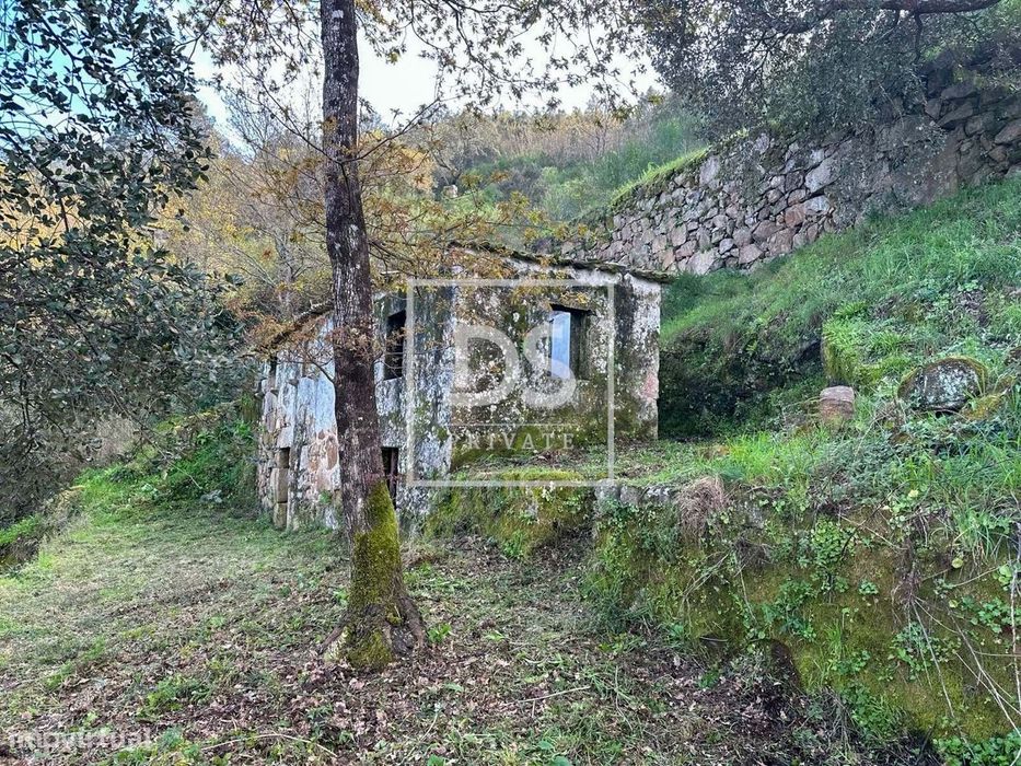 Quintinha em Tarouquela