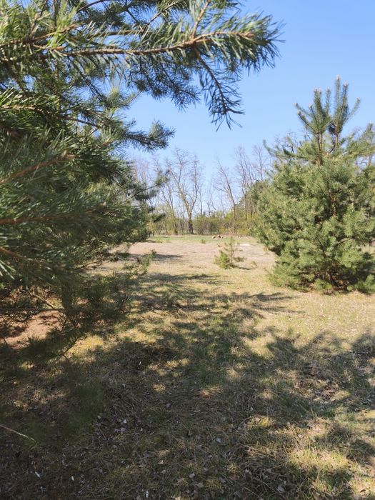 Sprzedam działkę budowlaną 1600 m2