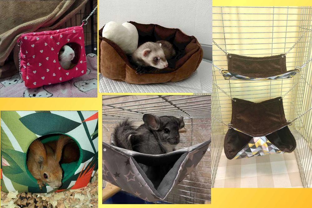гамак, домик, туннель для крыс, морской свинки, дегу, грызунов.