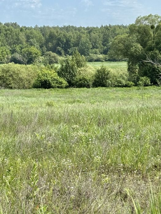 Продам 82сотки землі !!!  с.Мироцьке