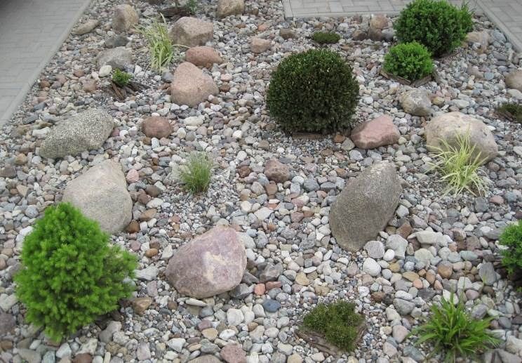 Otoczak Żwir Kamień rzeczny Mix kolorów i rozmiarów TONA + dostawa 0zł