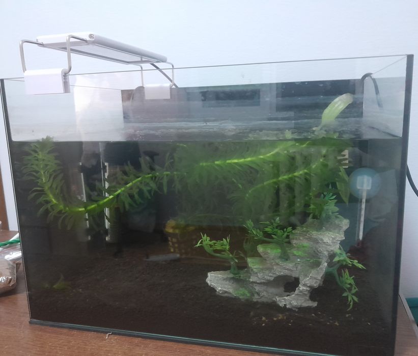 Акваріум. Акваріумний набір