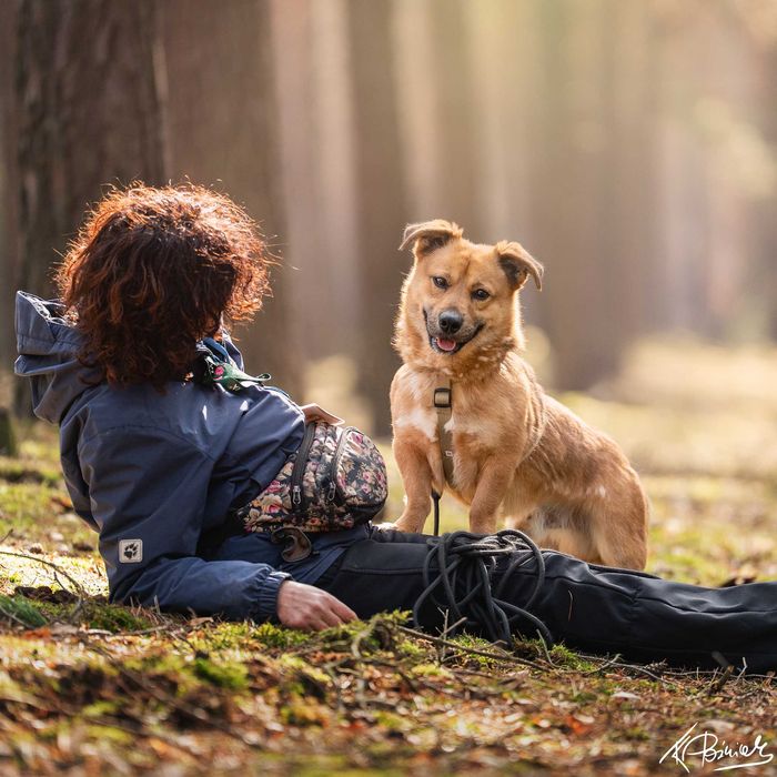 Tango szuka swojego człowieka