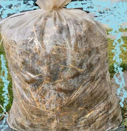 Nawóz Obornik Koński najlepszy na działkę pod pomidory, ogórki