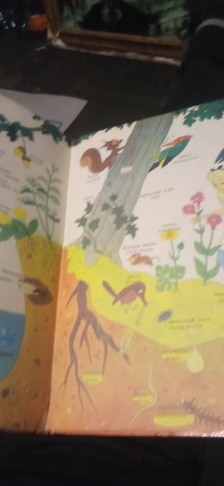 Книжка словарь большой вольт Дісней словарь