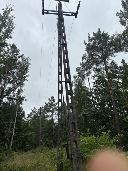 Sprzedam drzewo budowlane i opalowe