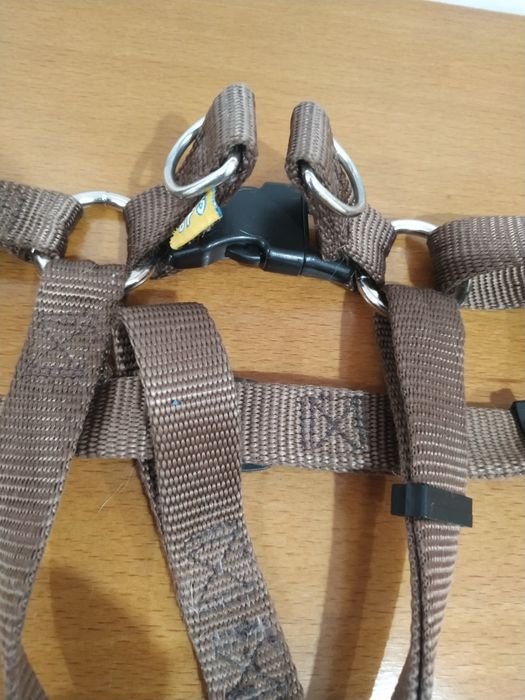 Peitoral cão médio porte