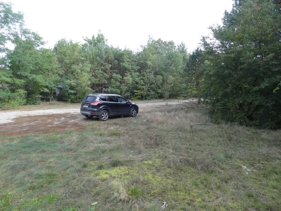 Działka w Puszczy Noteckiej - Widok 5