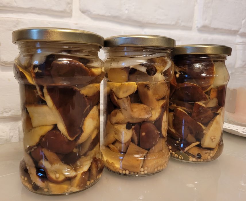 Podgrzybki brunatne marynowane
