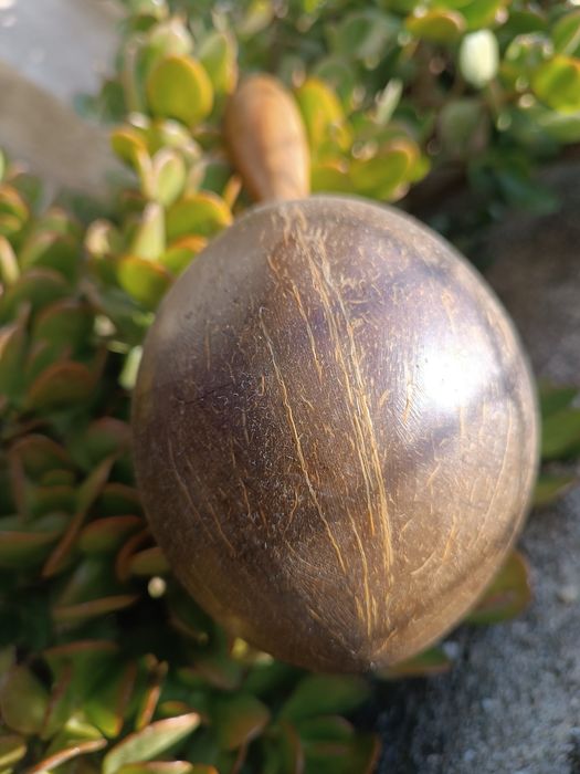 Marraca percussão