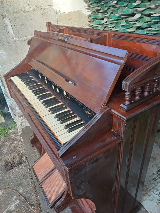 Organy fisharmonia antyk Ibach Berlin Barmen