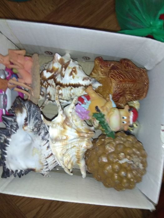 Продам  аксессуары к аквариуму,, подросших молинезий