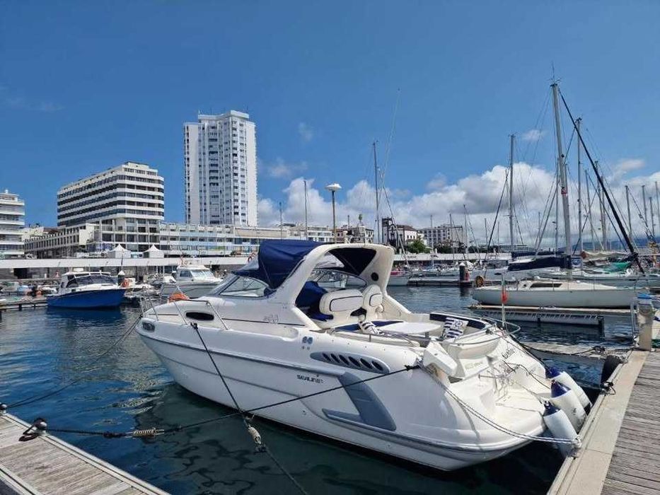 Barco Sealine 310