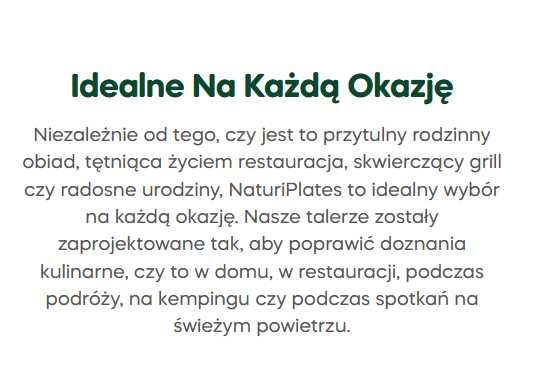 Taca prostokątna z liści palmowych catering 37cm 10szt PREMIUM