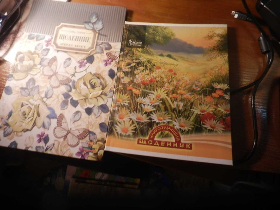 Дневники новые  разные.