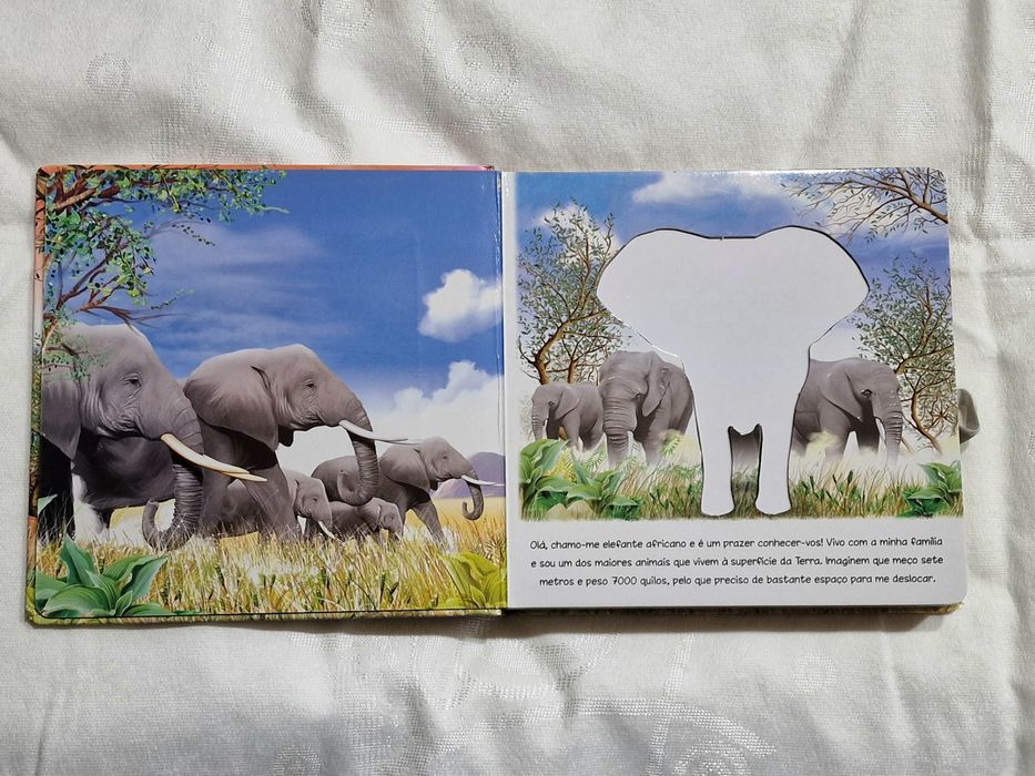 O Elefante . Novo