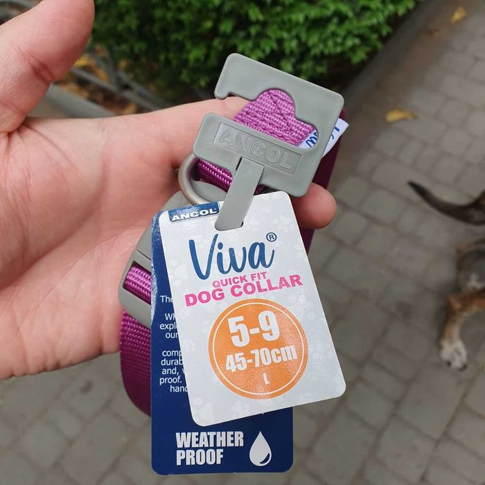 Ошийник для собак VIVA ADJUSTABLE COLLAR PURPLE (L/45-70см)