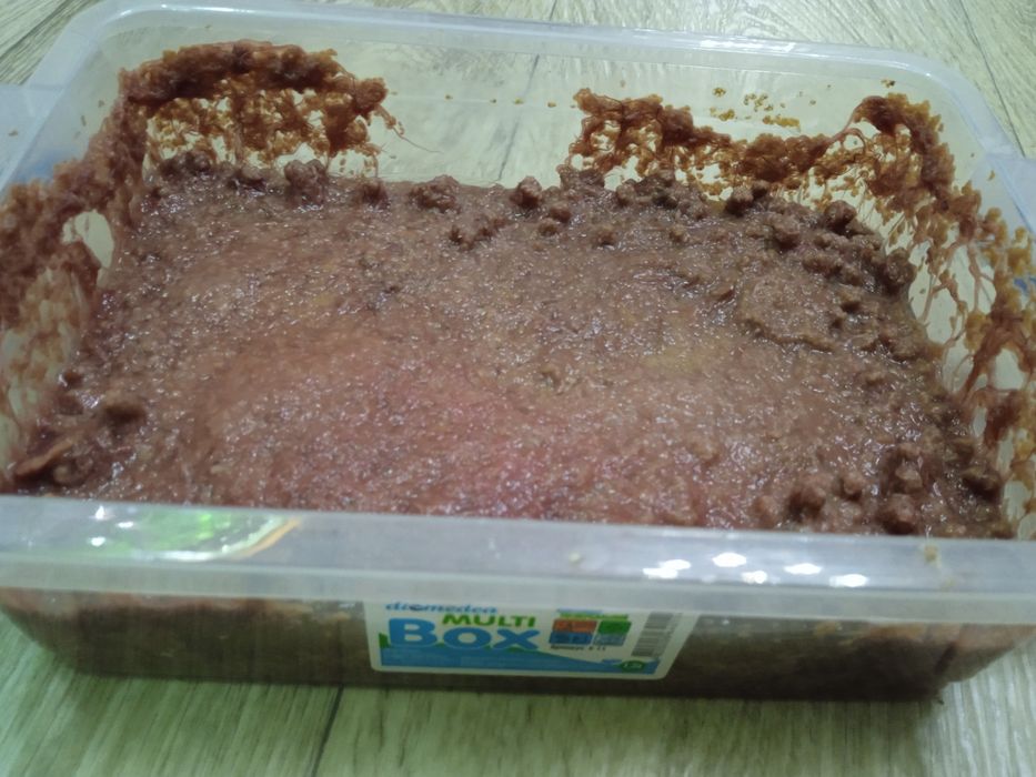 Продам трубочник Изя,Мясо артемии