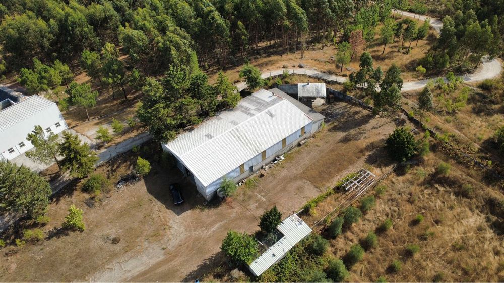 Arrenda-se pavilhão e zona circundante