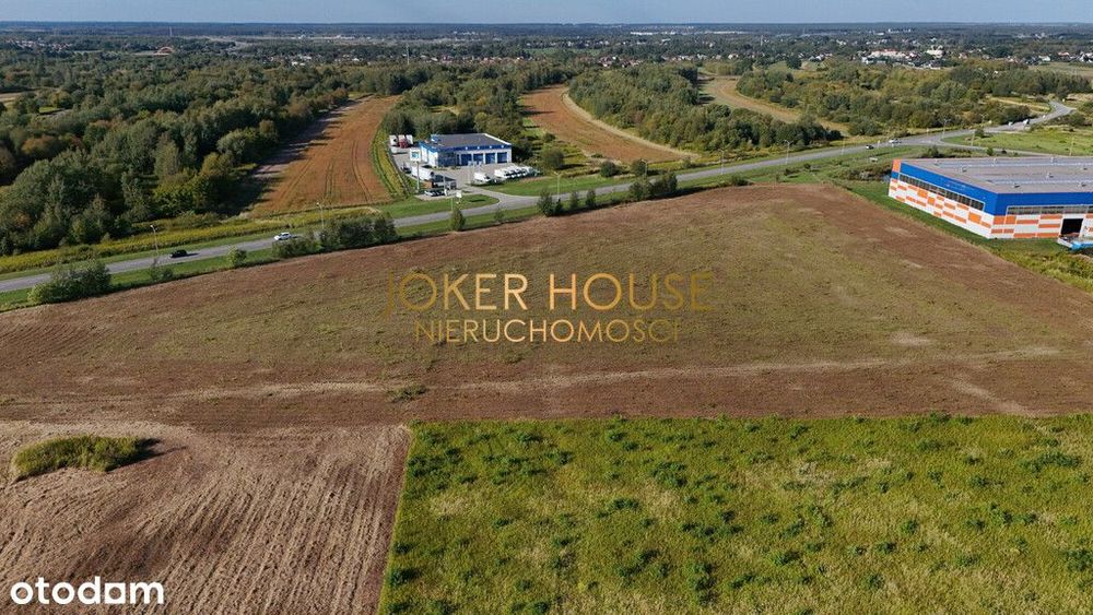 Ekspozycyjna, duża działka 1,8ha- Strefa Dworzysko - Widok 4