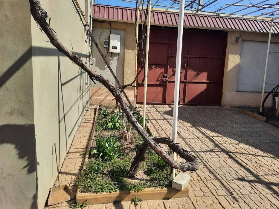 Сдаю Слободка ул.Коровицкого, Домик 1-комн.- 7000гр