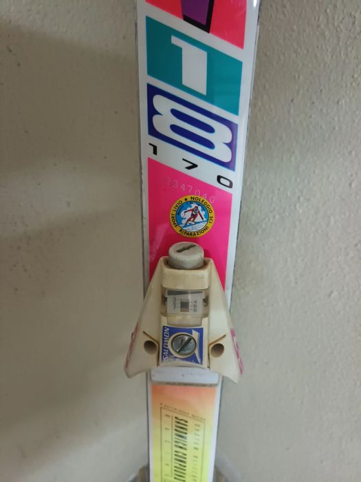 Skis completos, em bom estado