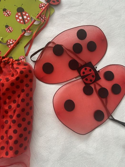 Strój Biedronki biedronka biedroneczka strój karnawałowy